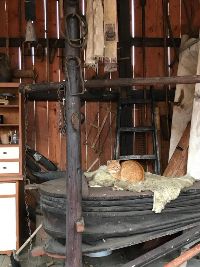 Chalupa Helena Na Poraci Buitenkant foto
