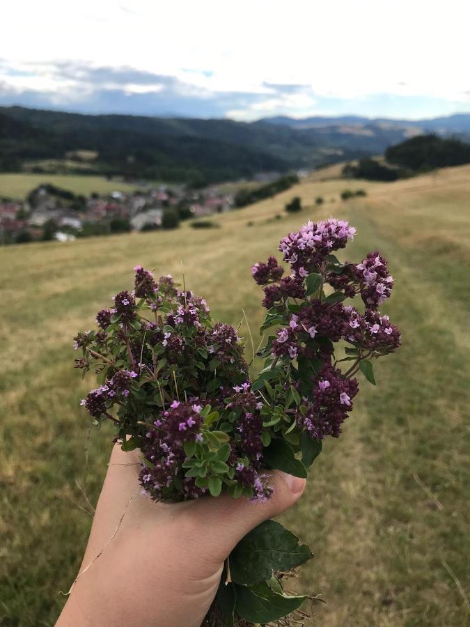 Chalupa Helena Na Poraci Buitenkant foto